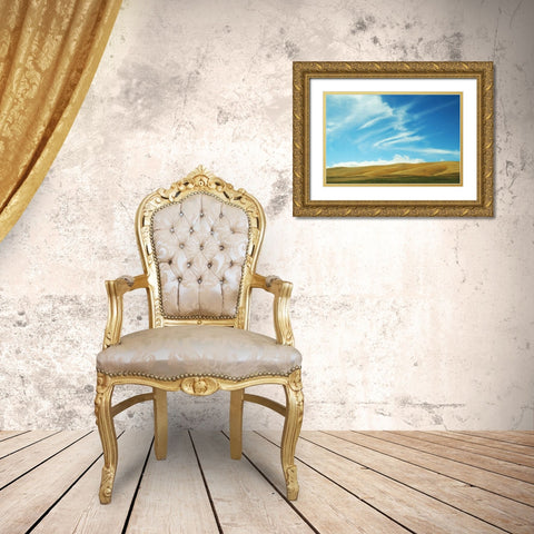 California Sky Gold Ornate Wood Framed Art Print with Double Matting by Brooks, Kari