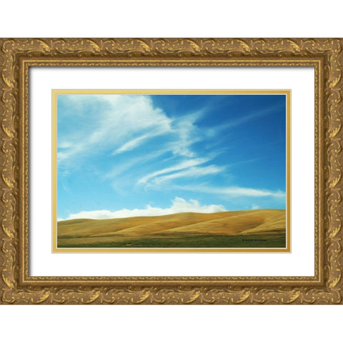California Sky Gold Ornate Wood Framed Art Print with Double Matting by Brooks, Kari