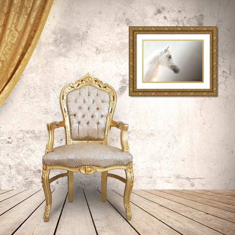 Flea-Bitten I Gold Ornate Wood Framed Art Print with Double Matting by Brooks, Kari