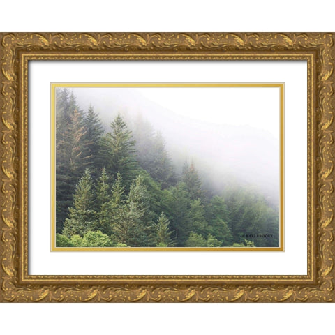 Alaska Green Trees I Gold Ornate Wood Framed Art Print with Double Matting by Brooks, Kari