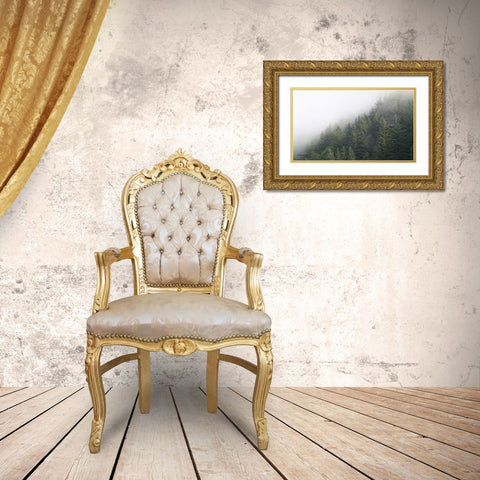 Alaska Green Trees II Gold Ornate Wood Framed Art Print with Double Matting by Brooks, Kari