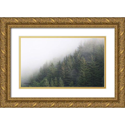 Alaska Green Trees II Gold Ornate Wood Framed Art Print with Double Matting by Brooks, Kari