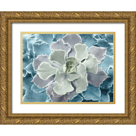 Multi-color Succulent  Gold Ornate Wood Framed Art Print with Double Matting by Deiter, Lori