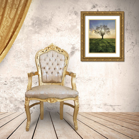 Morning Shadows   Gold Ornate Wood Framed Art Print with Double Matting by Deiter, Lori