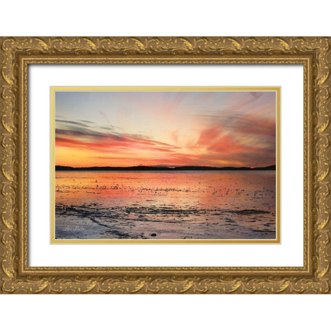 Fire and Ice Gold Ornate Wood Framed Art Print with Double Matting by Deiter, Lori