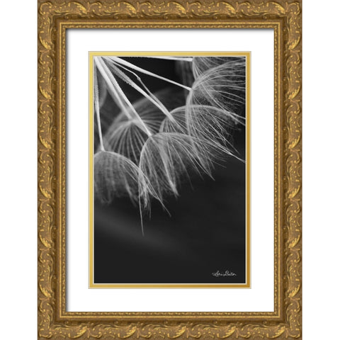 Goatsbeard I Gold Ornate Wood Framed Art Print with Double Matting by Deiter, Lori
