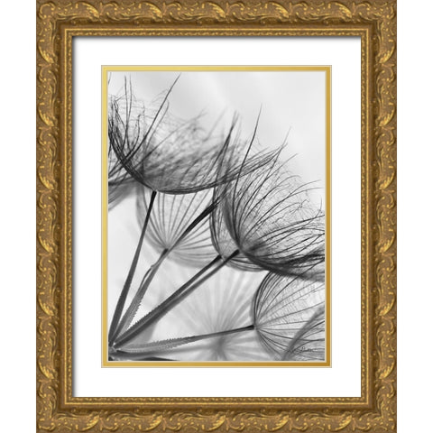 Goatsbeard II Gold Ornate Wood Framed Art Print with Double Matting by Deiter, Lori