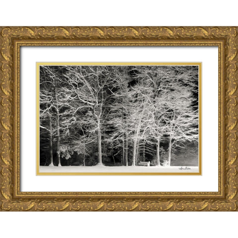 Snowy Trees Gold Ornate Wood Framed Art Print with Double Matting by Deiter, Lori