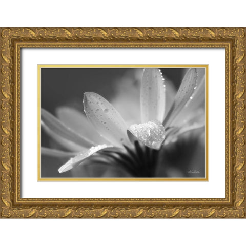 Daisy Gold Ornate Wood Framed Art Print with Double Matting by Deiter, Lori
