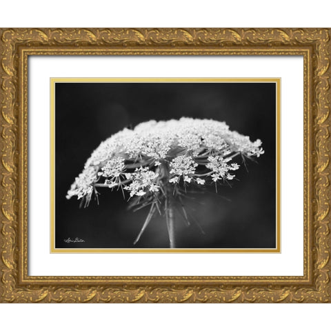 Queen Annes Lace Gold Ornate Wood Framed Art Print with Double Matting by Deiter, Lori