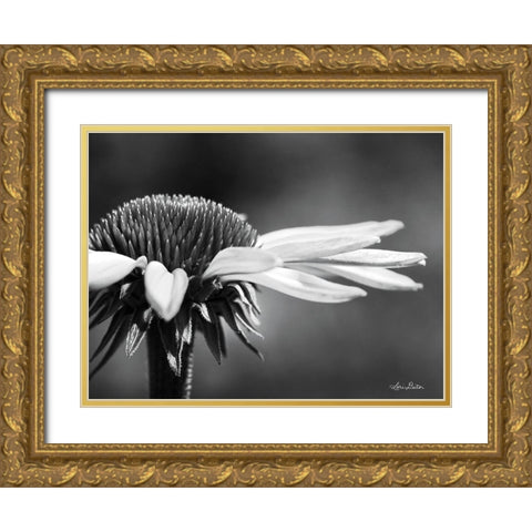 Coneflower Gold Ornate Wood Framed Art Print with Double Matting by Deiter, Lori