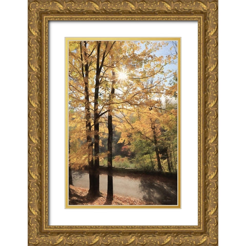 Autumn Light at Letchworth   Gold Ornate Wood Framed Art Print with Double Matting by Deiter, Lori