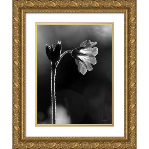 Black and White Flower Gold Ornate Wood Framed Art Print with Double Matting by Deiter, Lori