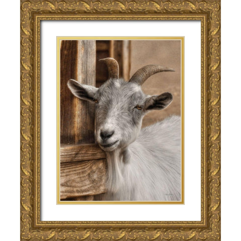 Gray Goat Gold Ornate Wood Framed Art Print with Double Matting by Deiter, Lori