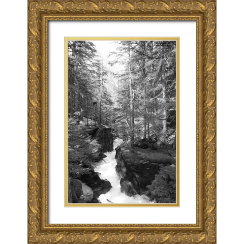 Avalanche Trail   Gold Ornate Wood Framed Art Print with Double Matting by Deiter, Lori