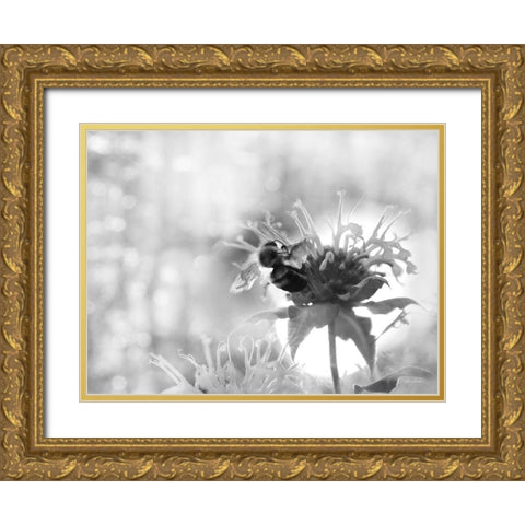Wild Flowers II Gold Ornate Wood Framed Art Print with Double Matting by Deiter, Lori