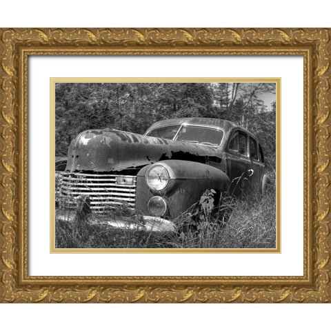 Rust Bucket Gold Ornate Wood Framed Art Print with Double Matting by Deiter, Lori