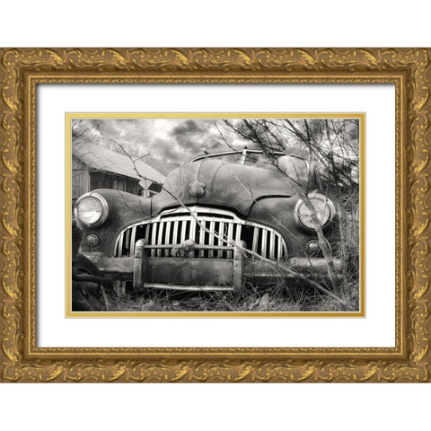 Rustic Charm VII Gold Ornate Wood Framed Art Print with Double Matting by Deiter, Lori