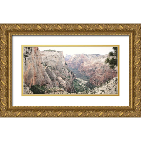 Zion from Above Gold Ornate Wood Framed Art Print with Double Matting by Deiter, Lori
