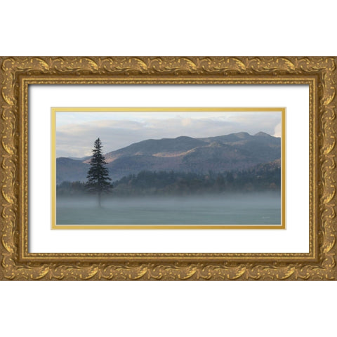 Adirondack Misty Morning Gold Ornate Wood Framed Art Print with Double Matting by Deiter, Lori