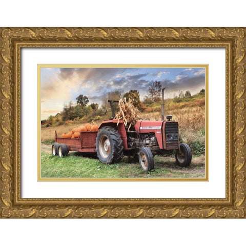 Pumpkin Harvest Gold Ornate Wood Framed Art Print with Double Matting by Deiter, Lori