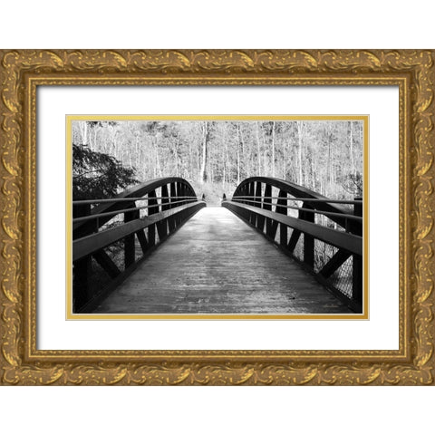 Wiconisco Creek Bridge Gold Ornate Wood Framed Art Print with Double Matting by Deiter, Lori