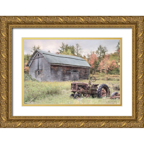 Another Year Older Gold Ornate Wood Framed Art Print with Double Matting by Deiter, Lori