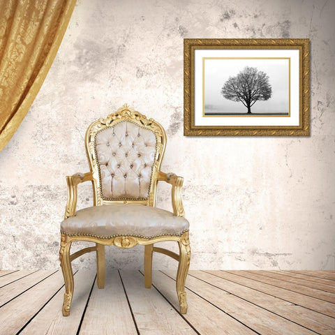 Flying Solo Gold Ornate Wood Framed Art Print with Double Matting by Deiter, Lori