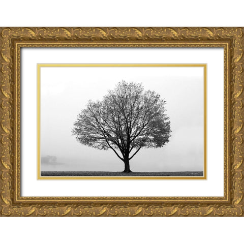 Flying Solo Gold Ornate Wood Framed Art Print with Double Matting by Deiter, Lori