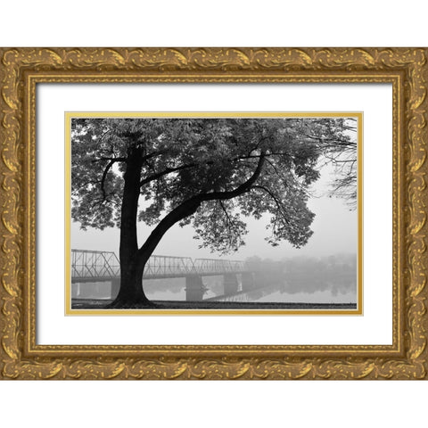 Move On Gold Ornate Wood Framed Art Print with Double Matting by Deiter, Lori