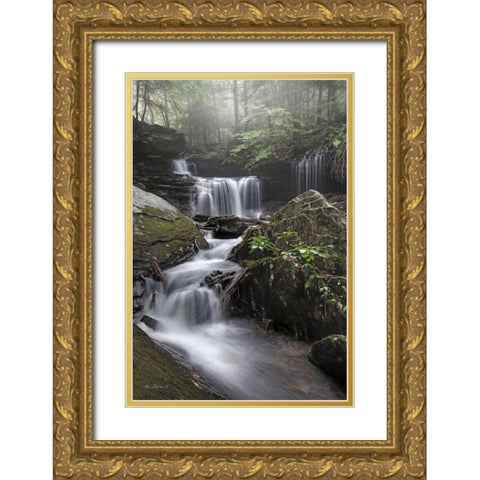 Ricketts Waterfall Gold Ornate Wood Framed Art Print with Double Matting by Deiter, Lori