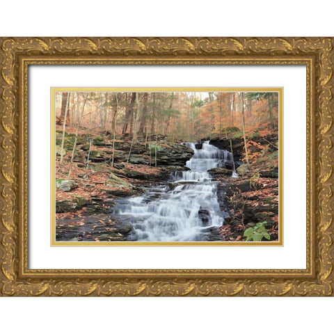 Waterfall Steps at Pigeon Run Gold Ornate Wood Framed Art Print with Double Matting by Deiter, Lori
