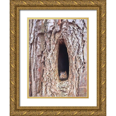 Is It Spring Yet?   Gold Ornate Wood Framed Art Print with Double Matting by Deiter, Lori