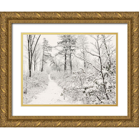 Winter Walk    Gold Ornate Wood Framed Art Print with Double Matting by Deiter, Lori