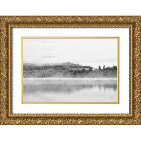 Foggy View Gold Ornate Wood Framed Art Print with Double Matting by Deiter, Lori