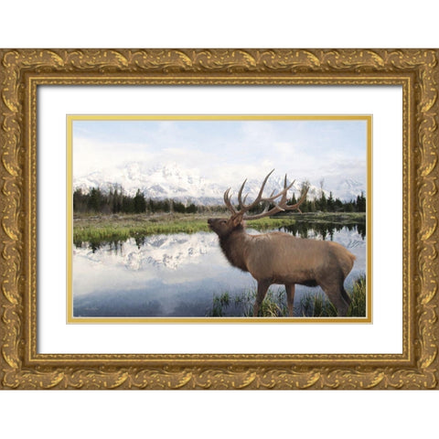 Bull Elk in Tetons Gold Ornate Wood Framed Art Print with Double Matting by Deiter, Lori