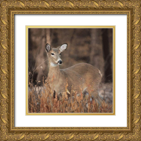 Whitetail Deer Gold Ornate Wood Framed Art Print with Double Matting by Deiter, Lori