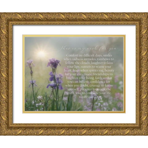 My Wish for You - Floral Gold Ornate Wood Framed Art Print with Double Matting by Deiter, Lori