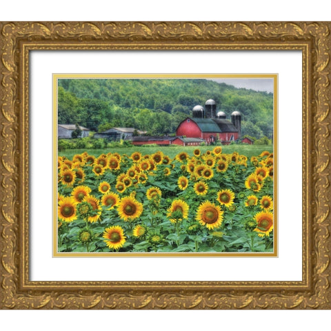Sunflower Farm Gold Ornate Wood Framed Art Print with Double Matting by Deiter, Lori