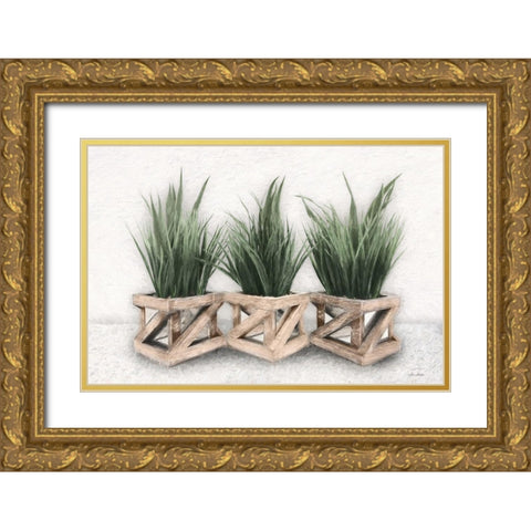 Planter Trio Gold Ornate Wood Framed Art Print with Double Matting by Deiter, Lori