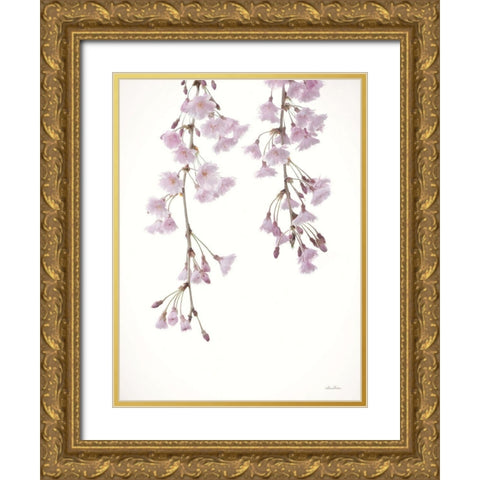Weeping Cherry on White II Gold Ornate Wood Framed Art Print with Double Matting by Deiter, Lori