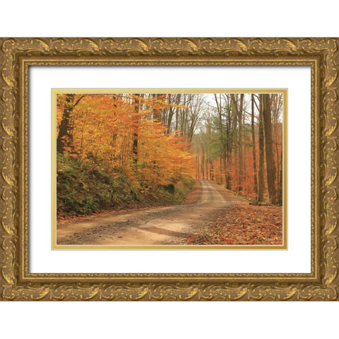 Fall Beauty I   Gold Ornate Wood Framed Art Print with Double Matting by Deiter, Lori