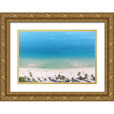 Beach View From Above Gold Ornate Wood Framed Art Print with Double Matting by Deiter, Lori
