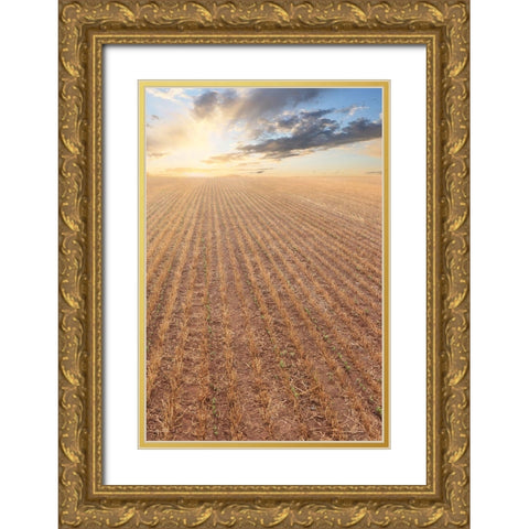 Its a New Day Gold Ornate Wood Framed Art Print with Double Matting by Deiter, Lori