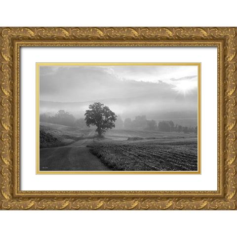Morning Haze II Gold Ornate Wood Framed Art Print with Double Matting by Deiter, Lori