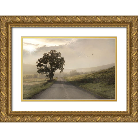 Foggy Country Road I Gold Ornate Wood Framed Art Print with Double Matting by Deiter, Lori