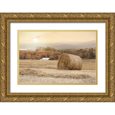 Golden Country Sunrise Gold Ornate Wood Framed Art Print with Double Matting by Deiter, Lori