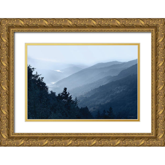 Perspective Image