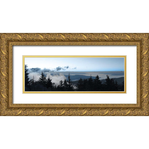 Clouds in the Trees Gold Ornate Wood Framed Art Print with Double Matting by Deiter, Lori