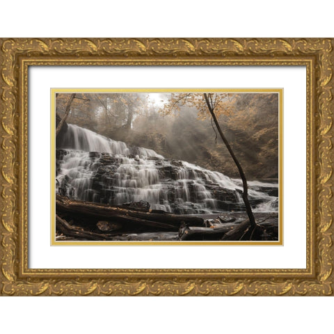 Mohawk Rays of Light Gold Ornate Wood Framed Art Print with Double Matting by Deiter, Lori